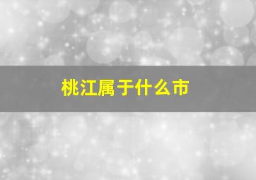 桃江属于什么市