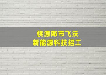 桃源陬市飞沃新能源科技招工