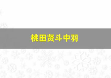 桃田贤斗中羽