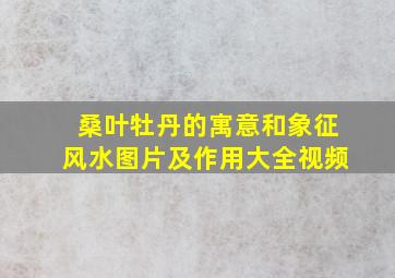 桑叶牡丹的寓意和象征风水图片及作用大全视频