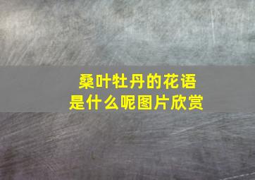 桑叶牡丹的花语是什么呢图片欣赏