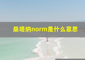 桑塔纳norm是什么意思