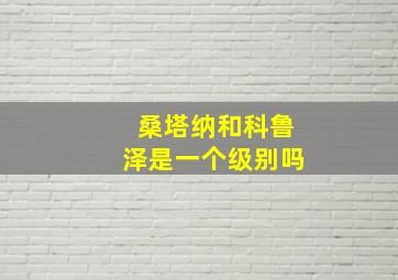 桑塔纳和科鲁泽是一个级别吗