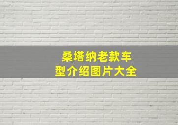 桑塔纳老款车型介绍图片大全