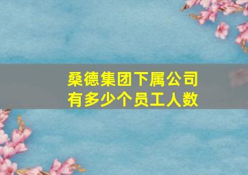 桑德集团下属公司有多少个员工人数