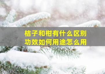 桔子和柑有什么区别功效如何用途怎么用