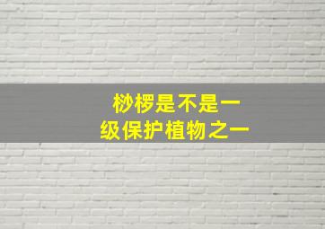 桫椤是不是一级保护植物之一