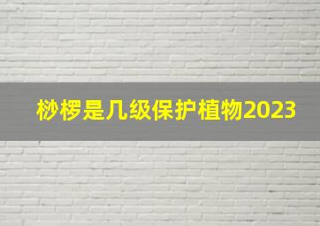 桫椤是几级保护植物2023