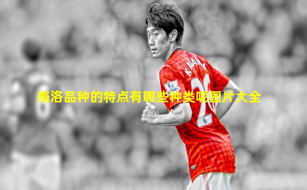 梅洛品种的特点有哪些种类呢图片大全