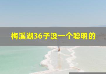 梅溪湖36子没一个聪明的