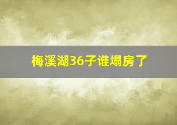 梅溪湖36子谁塌房了