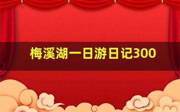 梅溪湖一日游日记300