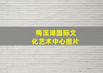 梅溪湖国际文化艺术中心图片