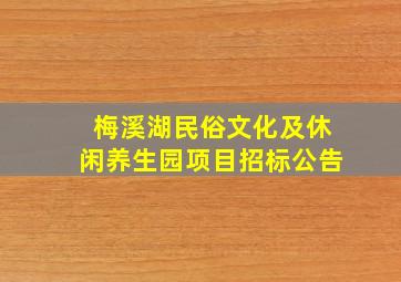 梅溪湖民俗文化及休闲养生园项目招标公告