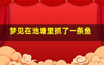 梦见在池塘里抓了一条鱼