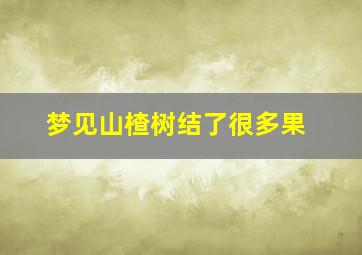 梦见山楂树结了很多果