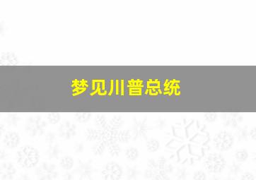 梦见川普总统