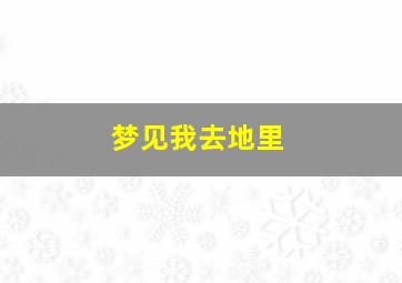 梦见我去地里