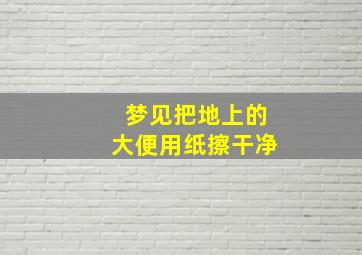 梦见把地上的大便用纸擦干净