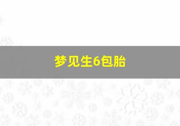 梦见生6包胎