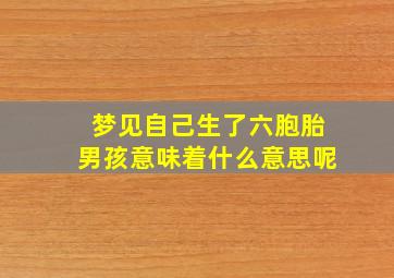 梦见自己生了六胞胎男孩意味着什么意思呢