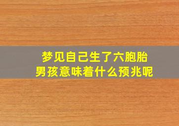 梦见自己生了六胞胎男孩意味着什么预兆呢