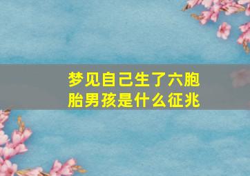 梦见自己生了六胞胎男孩是什么征兆