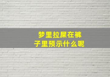 梦里拉屎在裤子里预示什么呢