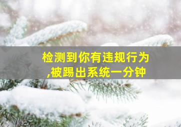 检测到你有违规行为,被踢出系统一分钟