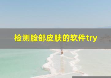 检测脸部皮肤的软件try