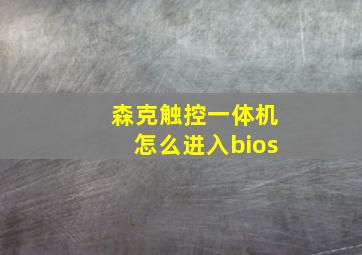 森克触控一体机怎么进入bios