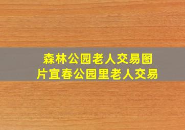 森林公园老人交易图片宜春公园里老人交易