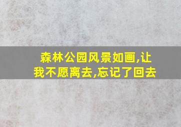 森林公园风景如画,让我不愿离去,忘记了回去