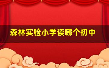 森林实验小学读哪个初中