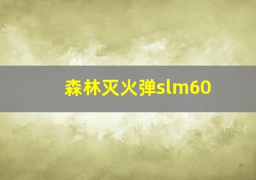 森林灭火弹slm60