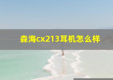 森海cx213耳机怎么样