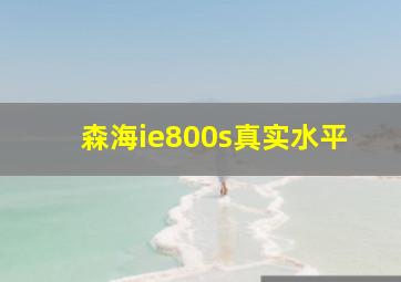 森海ie800s真实水平