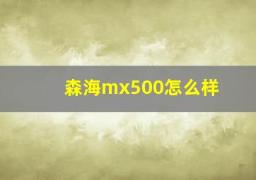 森海mx500怎么样