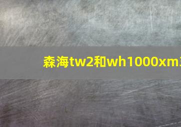 森海tw2和wh1000xm3