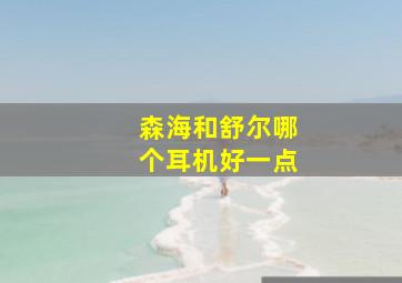 森海和舒尔哪个耳机好一点