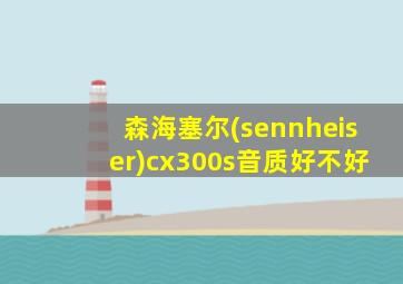 森海塞尔(sennheiser)cx300s音质好不好