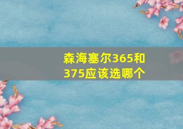 森海塞尔365和375应该选哪个