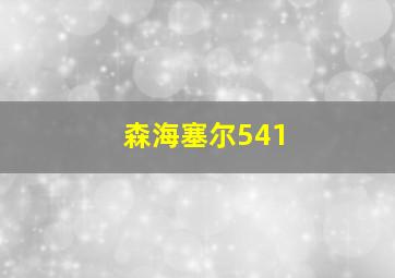 森海塞尔541