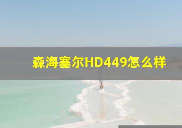 森海塞尔HD449怎么样