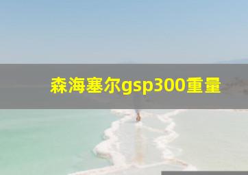 森海塞尔gsp300重量