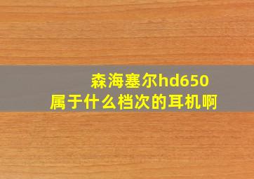 森海塞尔hd650属于什么档次的耳机啊