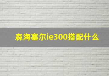 森海塞尔ie300搭配什么