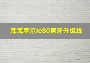 森海塞尔ie80蓝牙升级线