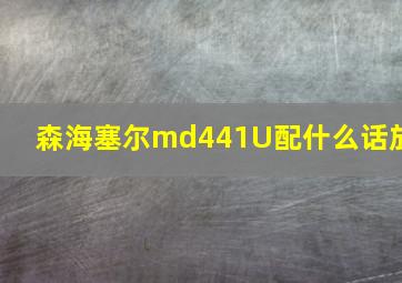 森海塞尔md441U配什么话放