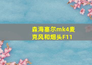 森海塞尔mk4麦克风和烟头F11